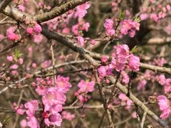 -常德桃花源景区