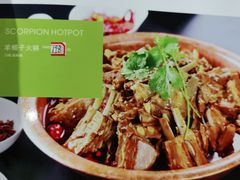 羊蝎子火锅-西域阿里马新疆菜·清真(桂花路店)