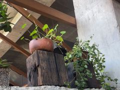 -几荷·恰似故人来(秀水广场店)