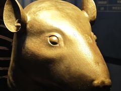 -广西壮族自治区博物馆