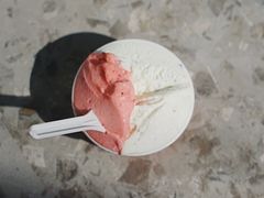 草莓天竺葵-Dip in Gelato(富民路店)