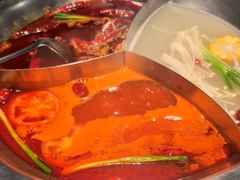 -辣伍鲜毛肚老火锅(元一店)