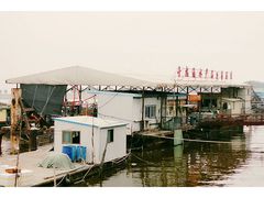 -大湾区中央湿地公园-十九涌