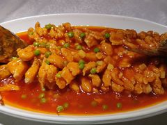 松鼠鱼-乾园(天河城店)