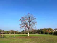 -合肥三国新城遗址公园