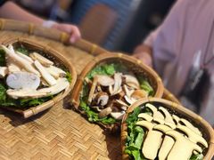 -滇野云南野生菌餐厅(陕西南路店)