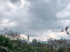 -金海湾滨江公园