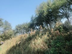 -叶赫那拉城
