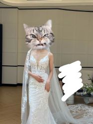 点击看大图 -Bridal Queen·婚纱女皇