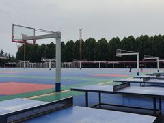 -西京医院