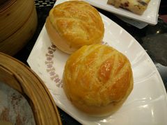 -新兴·金羊座·粤菜点心(乐峰店)