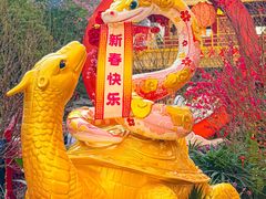-越秀西湖花市(广州城市广场花卉店)