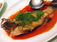 -金悦轩海鲜城(渔人码头店)