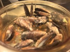 -The COOK·厨餐厅·自助餐(浦东嘉里大酒店)