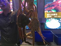 -蟹之国·精品蟹料理(极地店)