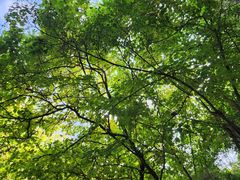 -水濂山森林公园