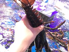 -盒马鲜生(莱蒙都会店)