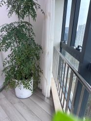 -HEYAN荷妍专业脱毛连锁机构