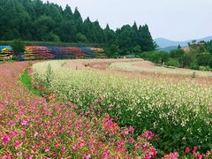 -中国香山·寿香谷