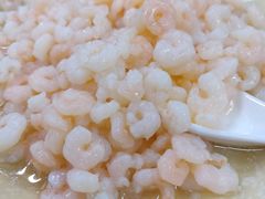 清炒河虾仁-协和菜馆(凤凰街店)