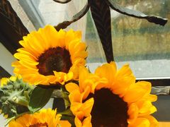 -外婆家餐厅(莱佛士城店)