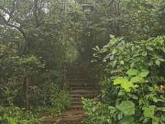 -杭州半山国家森林公园