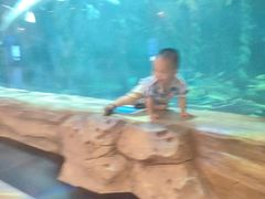 -华夏文旅西安度假区