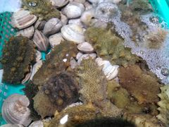 -胖子饺子馆·海鲜家常菜(海军博物馆店)