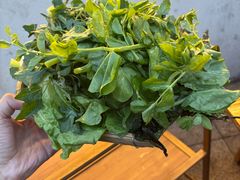 -吴天家私坊铜火锅(远达·帝景华廷店)