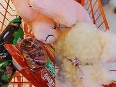 -可爱抓 COCO  GOTCHA(天津鹏欣水游城店)