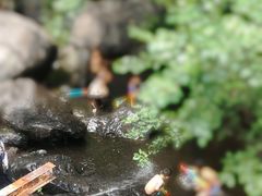 -京西十八潭风景区