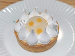 -猫里有甜