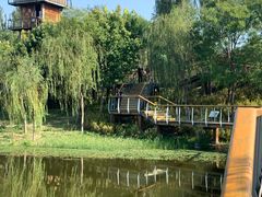 -东郊湿地公园