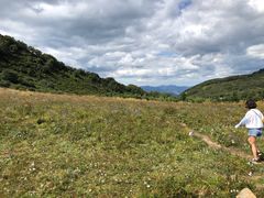 -白草畔自然风景区