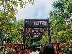 -呀诺达热带雨林