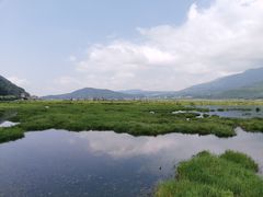 -腾冲北海湿地