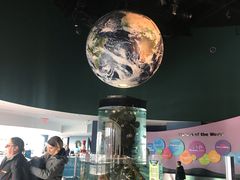 -瑞普利水族馆