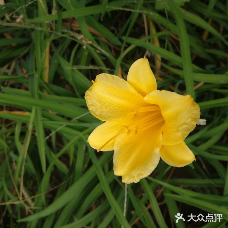 亦庄里比较大的街心花园