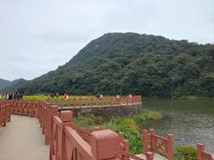-广州市石门国家森林公园