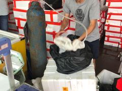 -江杨农产品批发市场