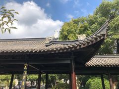 -月湖公园
