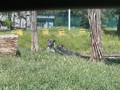 -秦皇岛野生动物园