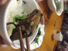 古道惠风饭庄-古道惠风饭庄