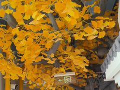 -食悦江南·淮扬菜·烤鸭(亚运村·惠新店)