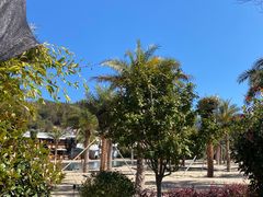 -腾冲洞山温泉村