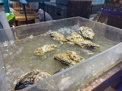 -乔哥铭洋海鲜自助(皇城恒隆广场店)