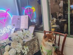-The Drinkery (瑞金店)