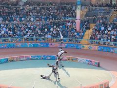 -上海野生动物园