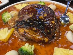 -陈麻婆豆腐总店
