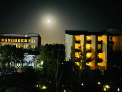 -上海崇明金茂凯悦酒店